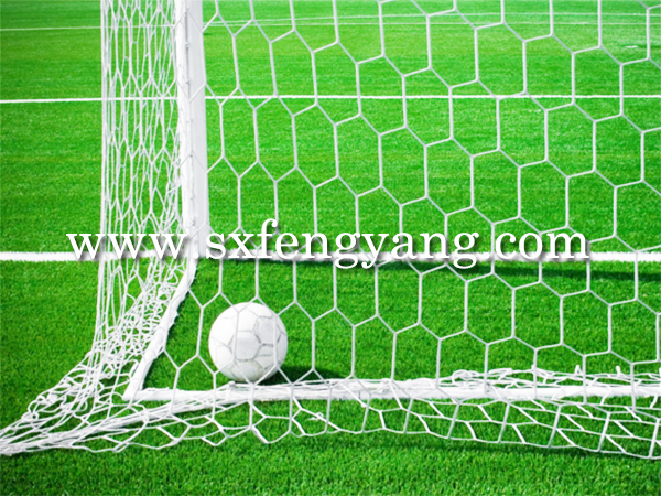 �����ƺ�B(y��ng)�o(h��)