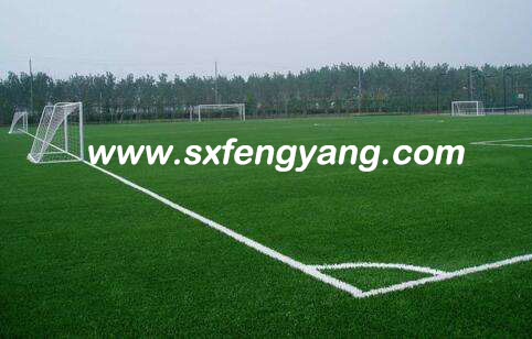 ���e�����ƺ