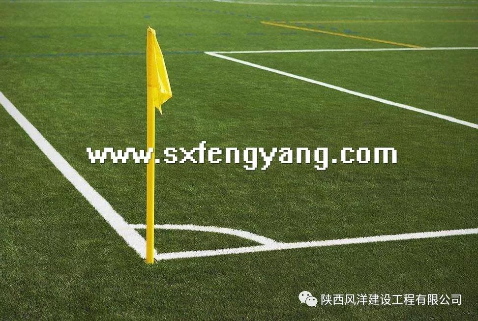 �����ƺ���TPE�h(hu��n)���w���ă�(y��u)��